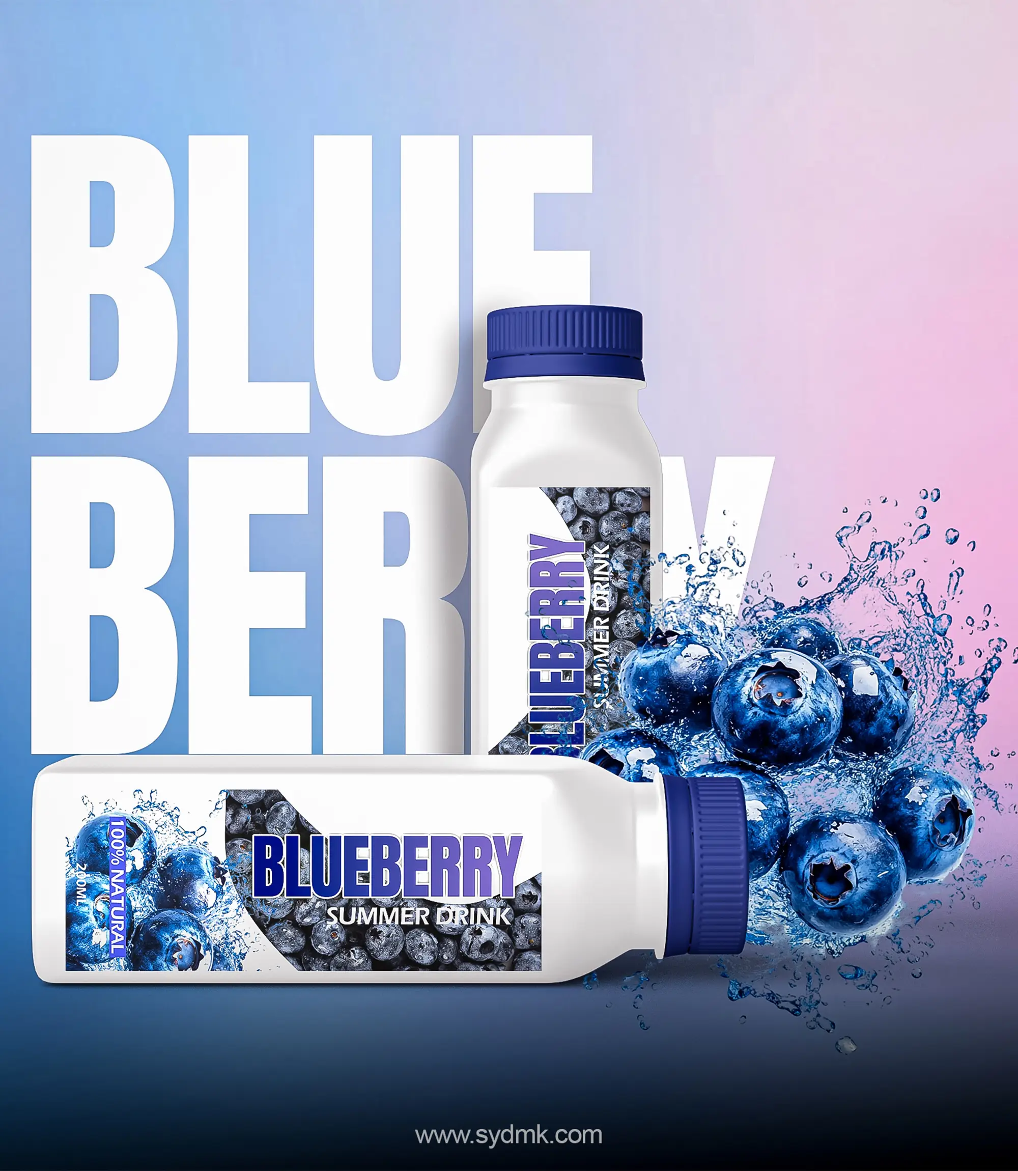 best-digital-marketing-analyst-in-kerala-blueberry