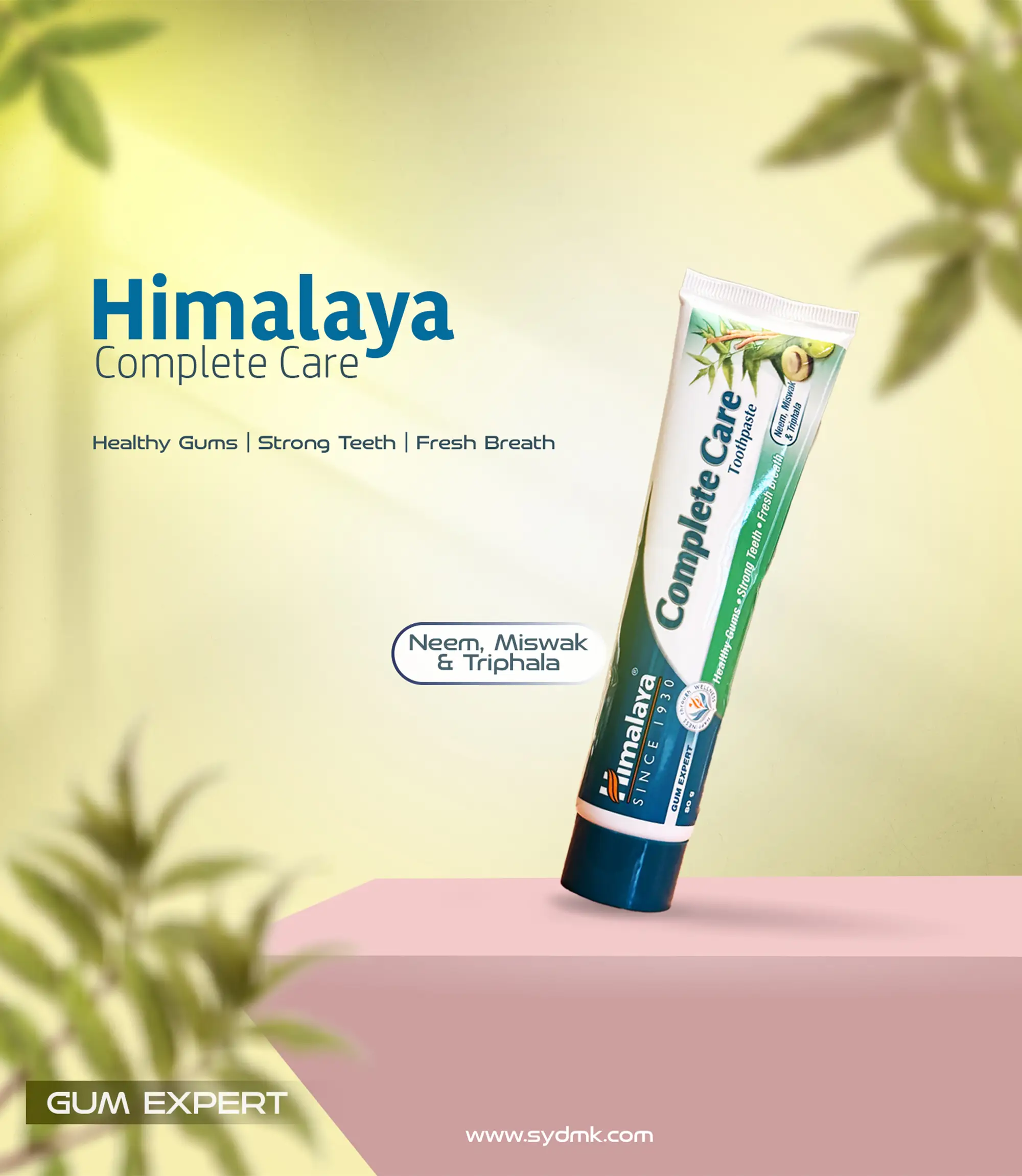 best-digital-marketing-analyst-in-kerala-design-product